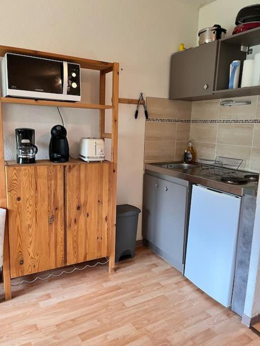 Au Pied Des Pistes Appartement Montferrier